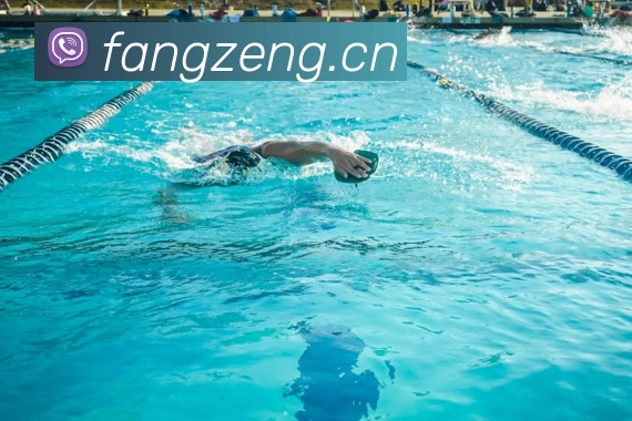 人人体育在线直播平台生态图